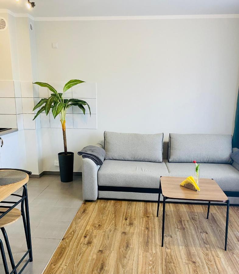 Apartamenty Teatralne Gorzów Wielkopolski Exterior foto